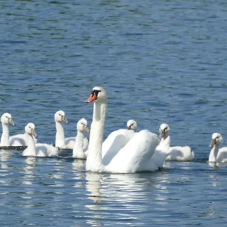 Am Markt 13 Lejlighed