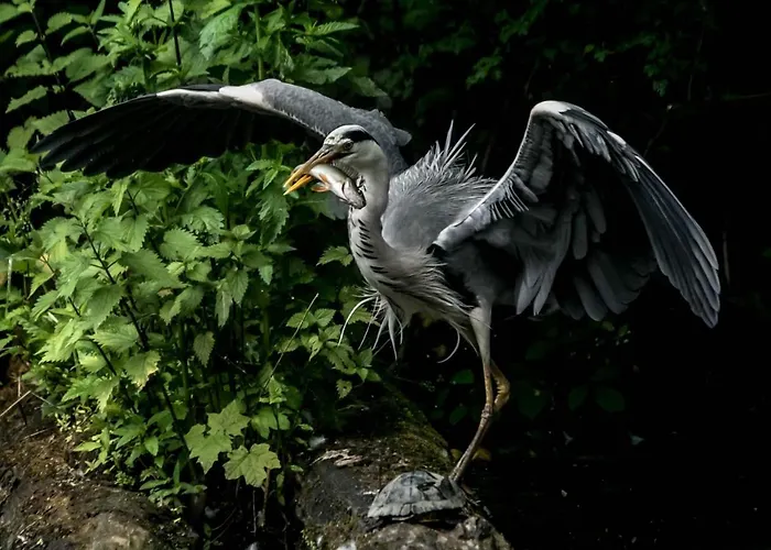 Am Markt 13 아파트 콘즈