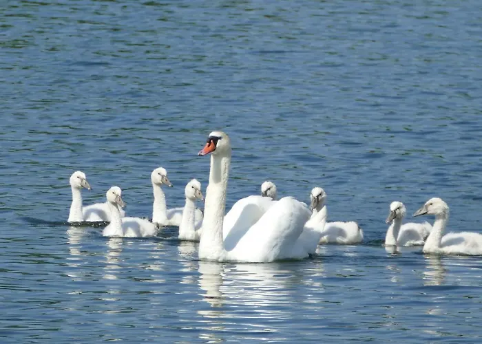 Am Markt 13 아파트